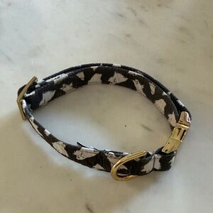 The Foggy Dog Halloween Ghost Dog Collar with Gold Accents